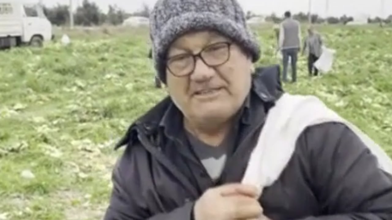 Foto - Yanlış hesap emekleri heba etti: 17 dönüm ürün bedavaya gitti!