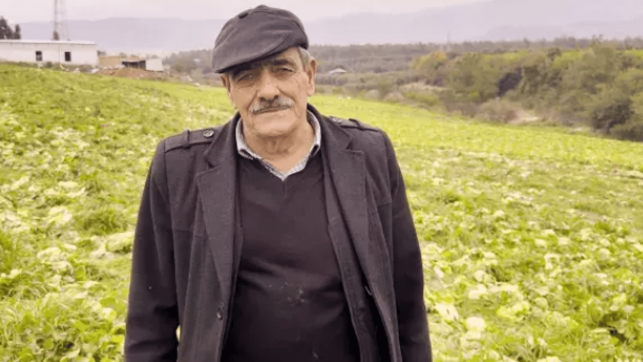 Yanlış hesap emekleri heba etti: 17 dönüm ürün bedavaya gitti!