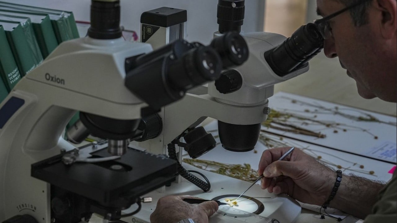 Foto - Emekli öğretmen doğa yürüyüşü sırasında fark etti! Yeni bitki türü keşfedildi