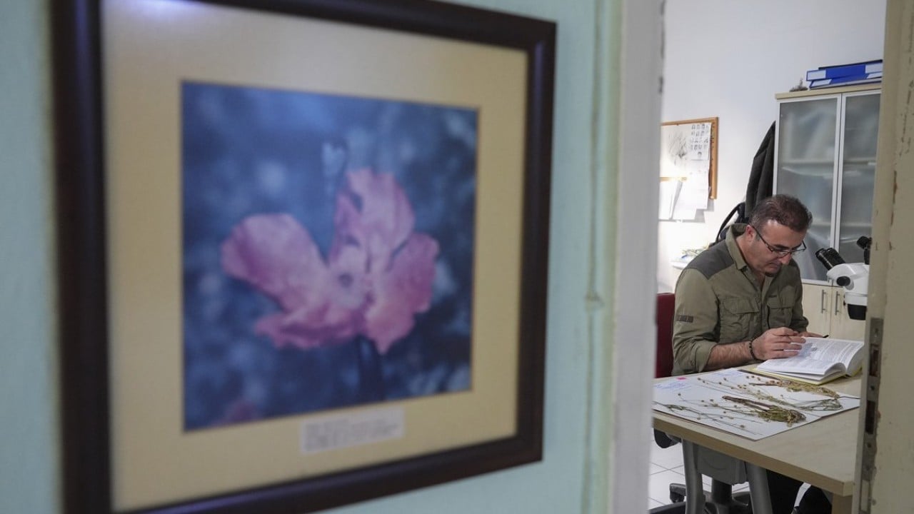 Foto - Emekli öğretmen doğa yürüyüşü sırasında fark etti! Yeni bitki türü keşfedildi