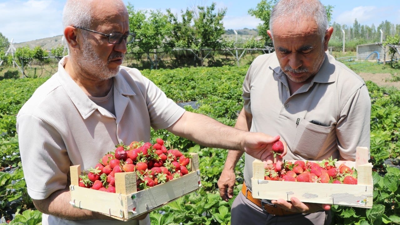 Foto - Emekli olunca babasının tarlasını ekmişti... Binlerce üretmeye başladı! Yüzlerce aile ziyaret etti