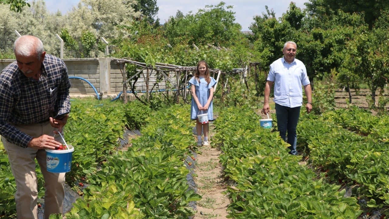 Foto - Emekli olunca babasının tarlasını ekmişti... Binlerce üretmeye başladı! Yüzlerce aile ziyaret etti