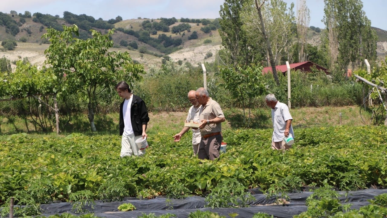 Foto - Emekli olunca babasının tarlasını ekmişti... Binlerce üretmeye başladı! Yüzlerce aile ziyaret etti