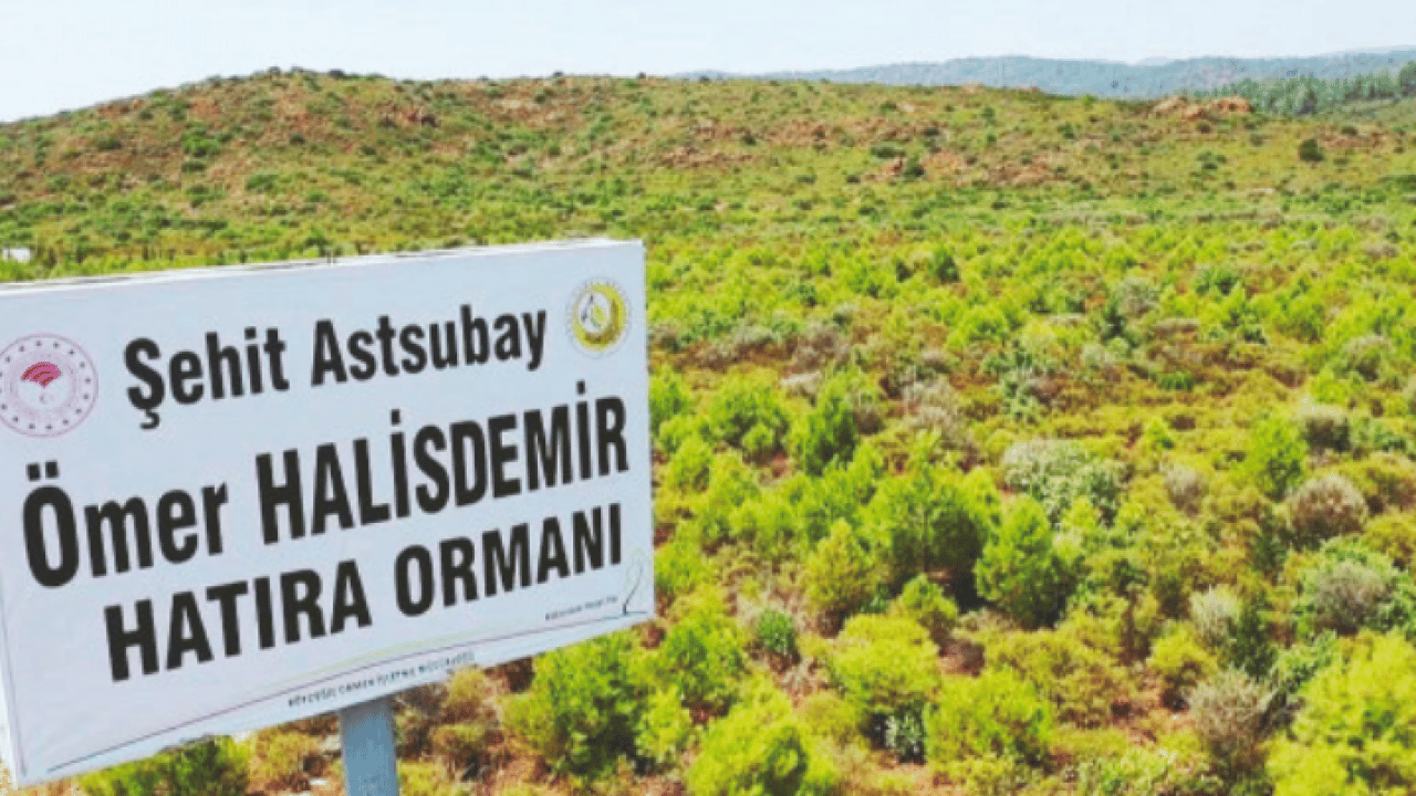 Foto - Emine Erdoğan'dan Yeşil Vatan Seferberliği'ne destek çağrısı