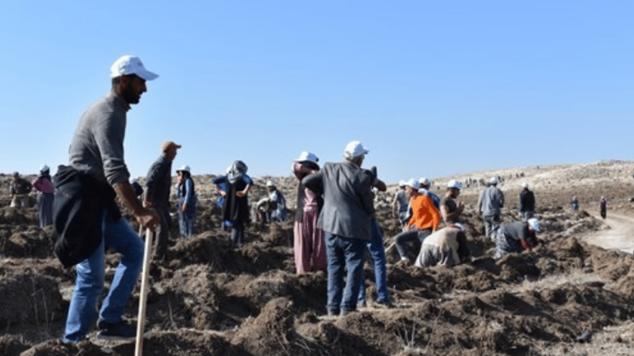 Foto - Emine Erdoğan'dan Yeşil Vatan Seferberliği'ne destek çağrısı