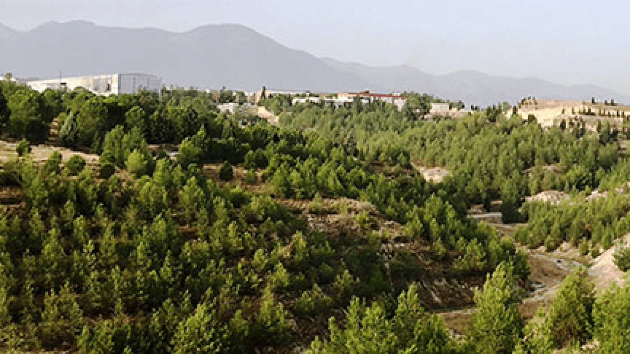 Foto - Emine Erdoğan'dan Yeşil Vatan Seferberliği'ne destek çağrısı