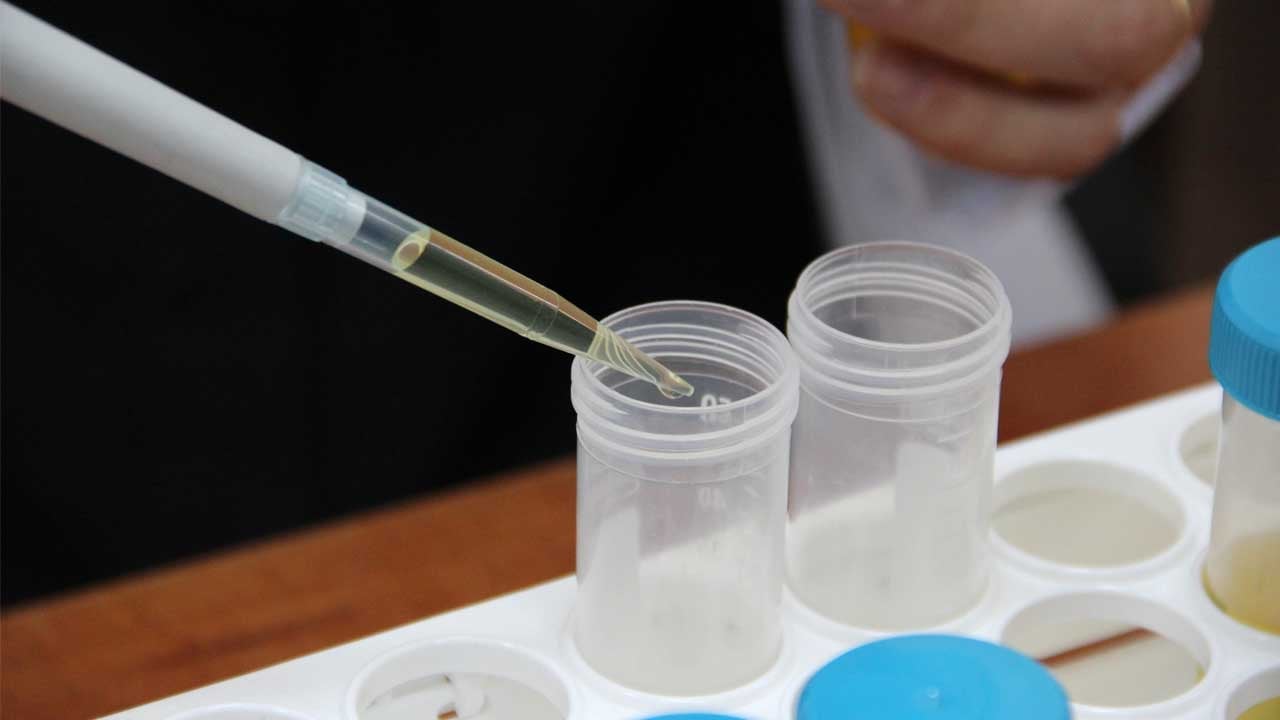 Foto - En büyük sorun tarih oluyor: 500 milyon dolarlık ihracattaki tehdide müthiş çözüm