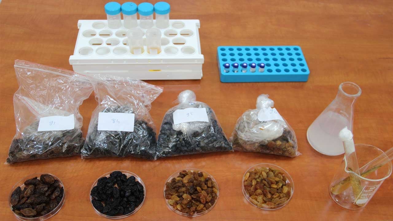 Foto - En büyük sorun tarih oluyor: 500 milyon dolarlık ihracattaki tehdide müthiş çözüm