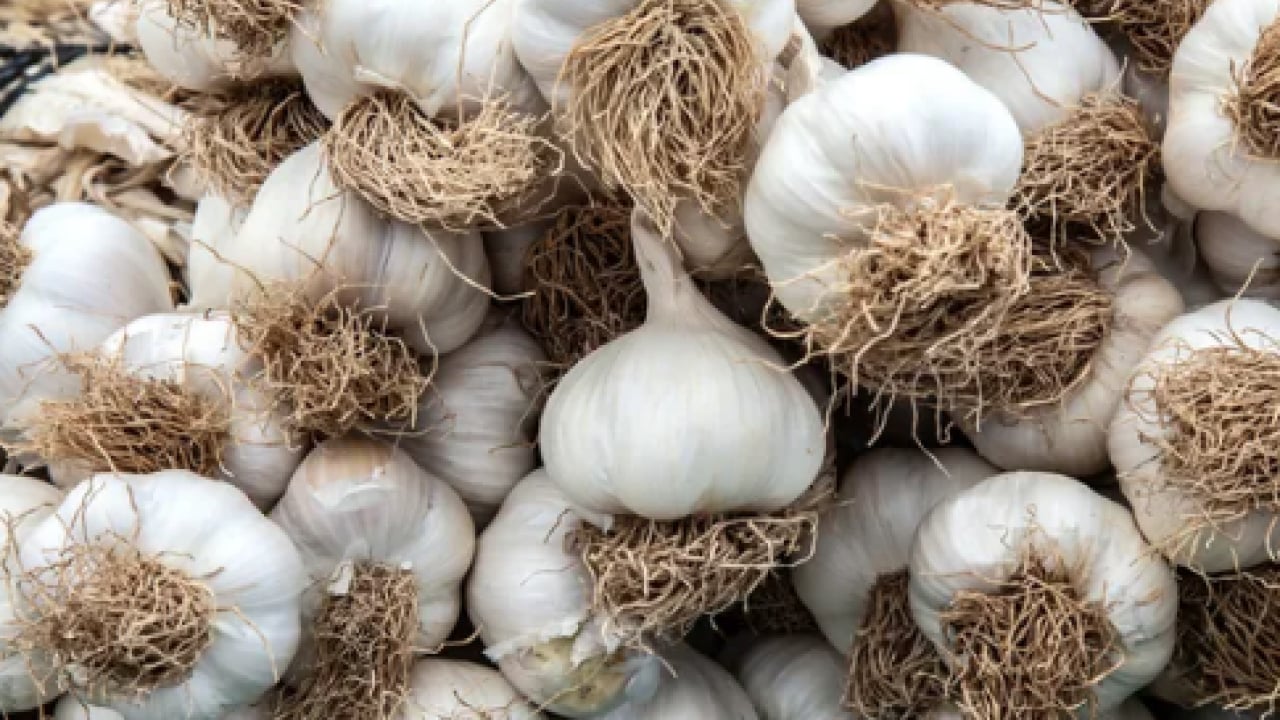 Foto - En can sıkıcı boyutu: 1 günde sivilceyi yok ediyor! Doğal çözüm arayanlar buraya...