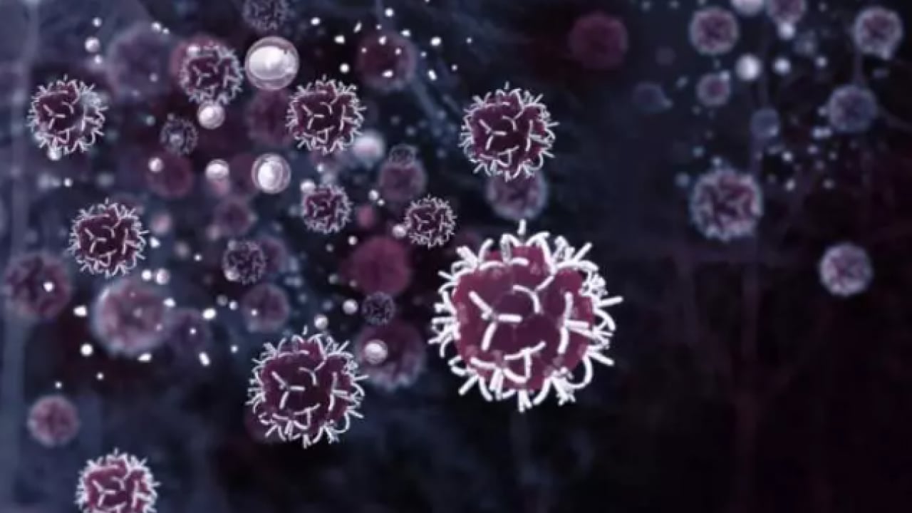 Foto - En çok kanser vakası görülen iller belli oldu! Zirvedeki il şaşırttı!