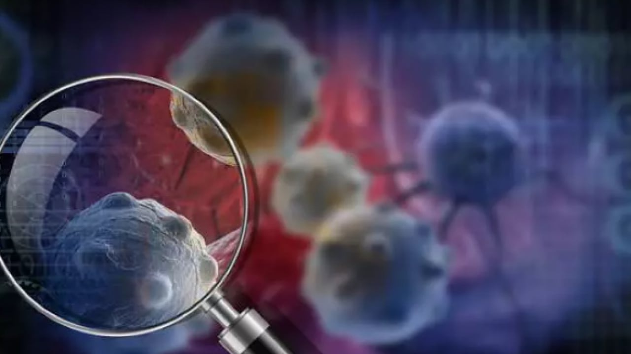 Foto - En çok kanser vakası görülen iller belli oldu! Zirvedeki il şaşırttı!