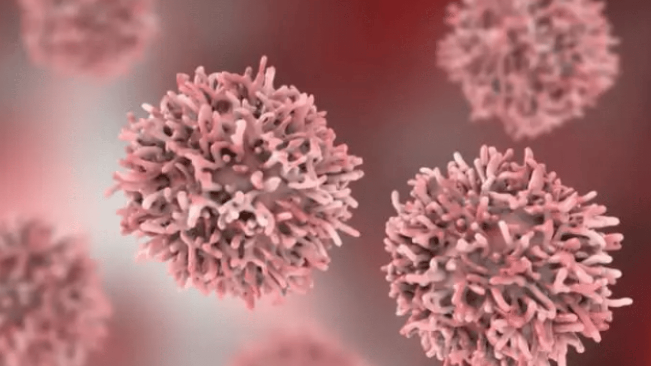 En çok kanser vakası görülen iller belli oldu! Zirvedeki il şaşırttı!