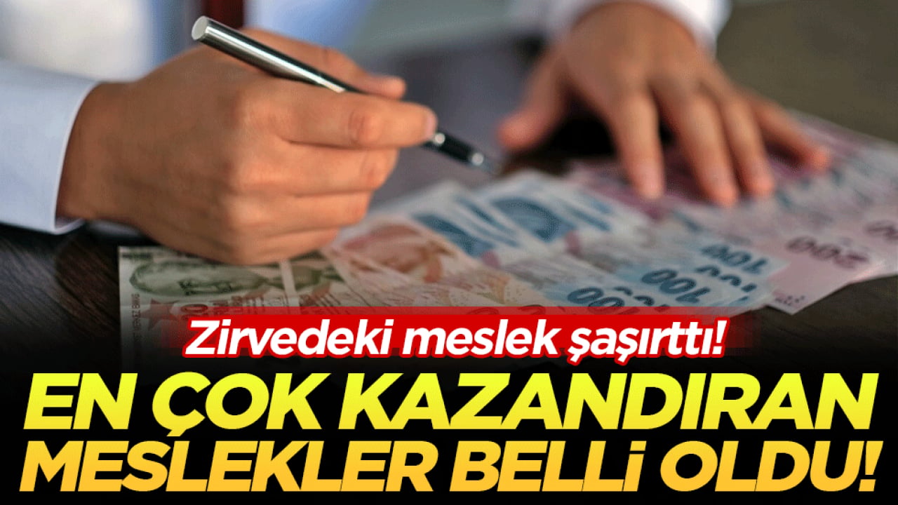 En çok kazandıran meslekler belli oldu! Zirvedeki meslek şaşırttı!