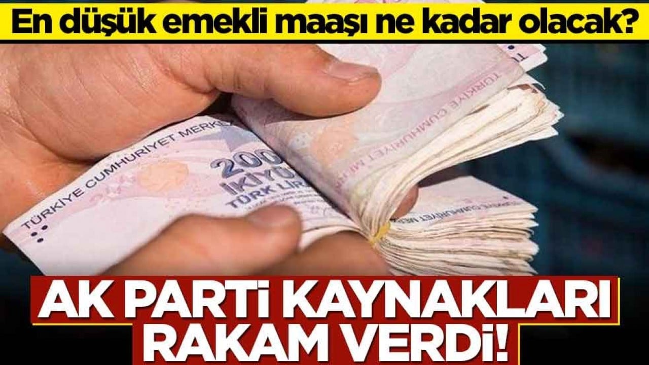 En düşük emekli maaşı ne kadar olacak? AK Parti kaynakları rakam verdi!