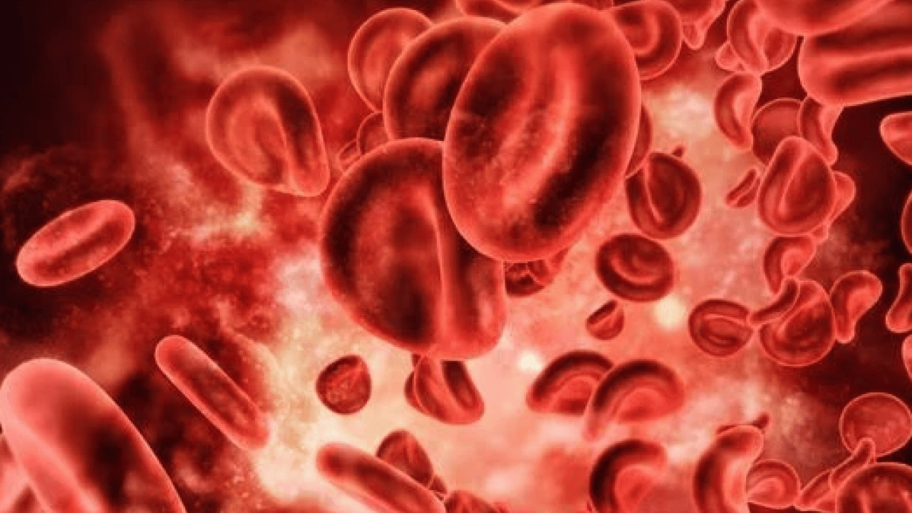 Foto - En güçlü bağışıklık hangi kan grubunda? Gerçekler şaşırtıyor... Doğru kabul edilmiyor