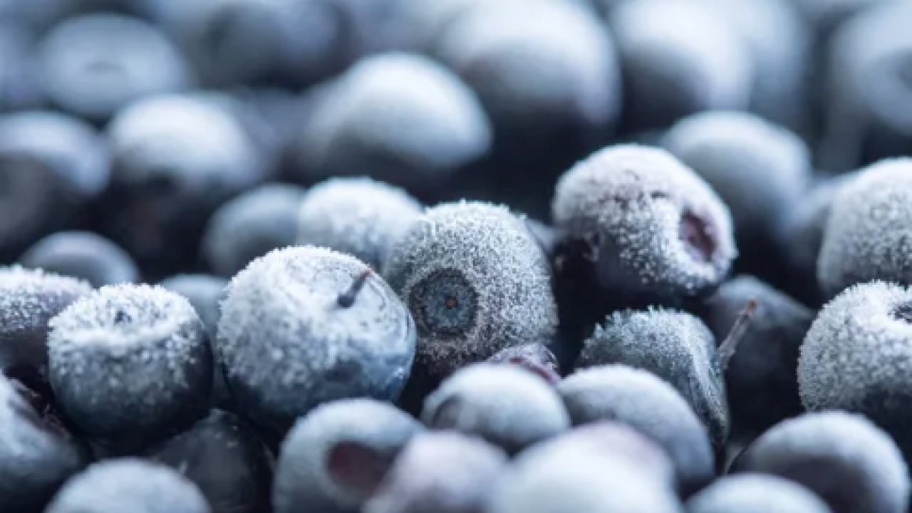 Foto - En hızlı zayıflatan yiyecek açıklandı... 90 günde yağ hücrelerini yok ediyor! 
