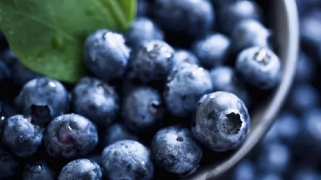 Foto - En hızlı zayıflatan yiyecek açıklandı... 90 günde yağ hücrelerini yok ediyor! 