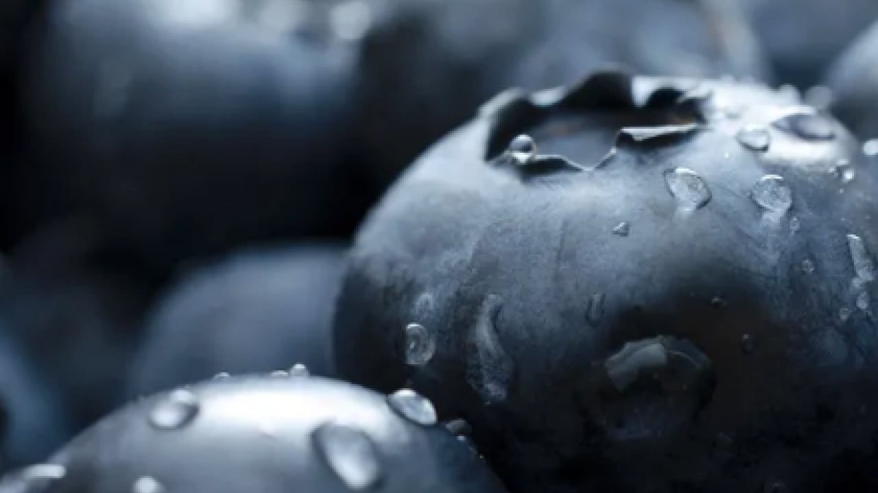 Foto - En hızlı zayıflatan yiyecek açıklandı... 90 günde yağ hücrelerini yok ediyor! 