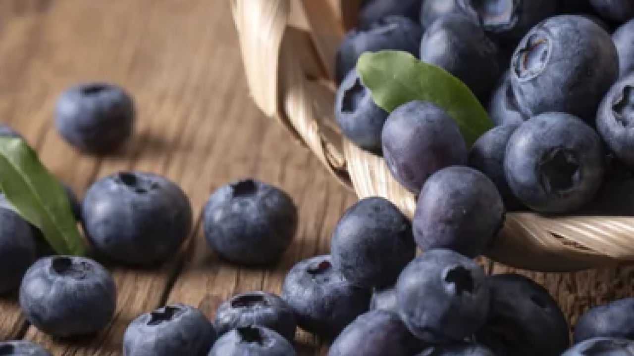 Foto - En hızlı zayıflatan yiyecek açıklandı... 90 günde yağ hücrelerini yok ediyor! 
