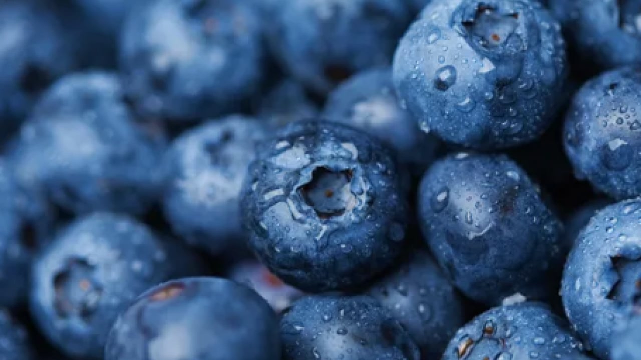 Foto - En hızlı zayıflatan yiyecek açıklandı... 90 günde yağ hücrelerini yok ediyor! 