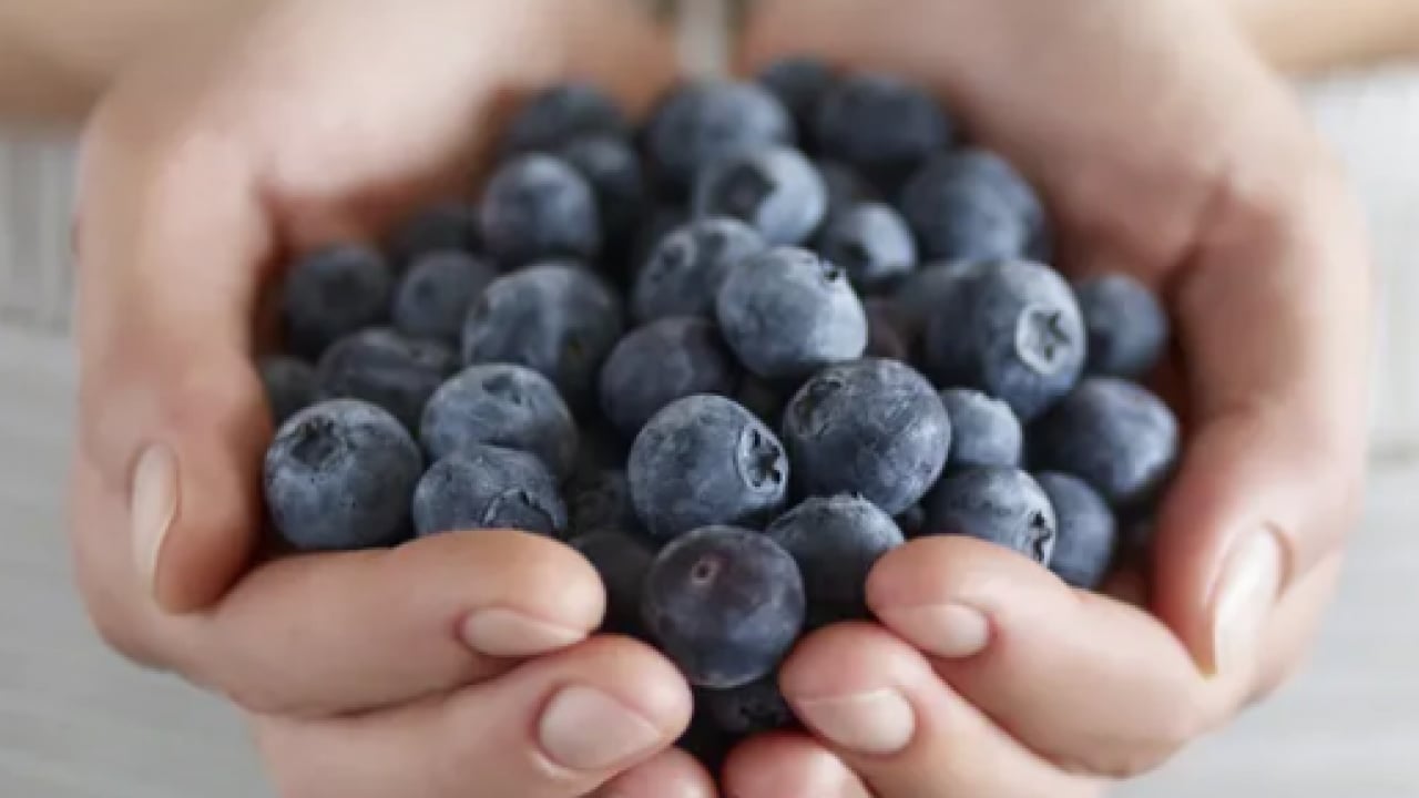 Foto - En hızlı zayıflatan yiyecek açıklandı... 90 günde yağ hücrelerini yok ediyor! 