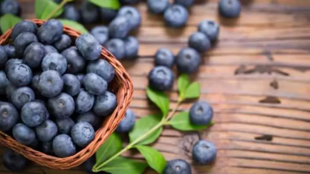 Foto - En hızlı zayıflatan yiyecek belli oldu! 90 günde bütün yağları eritiyor!