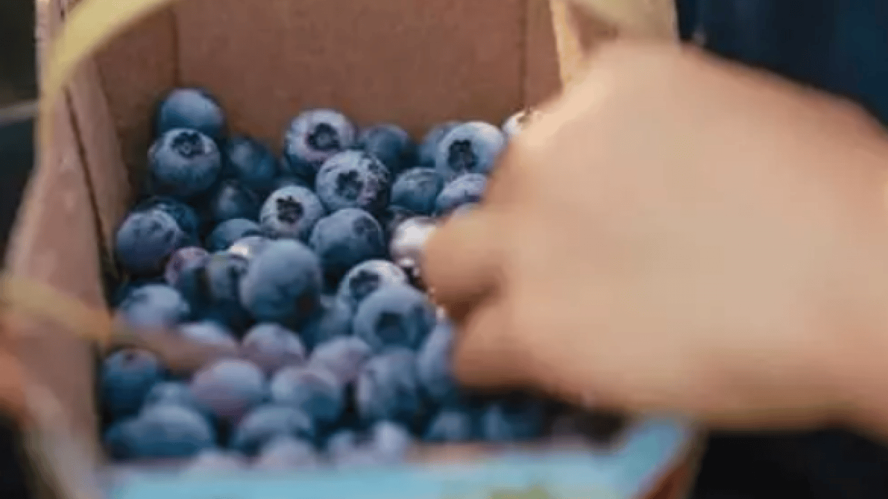 Foto - En hızlı zayıflatan yiyecek belli oldu! 90 günde bütün yağları eritiyor!