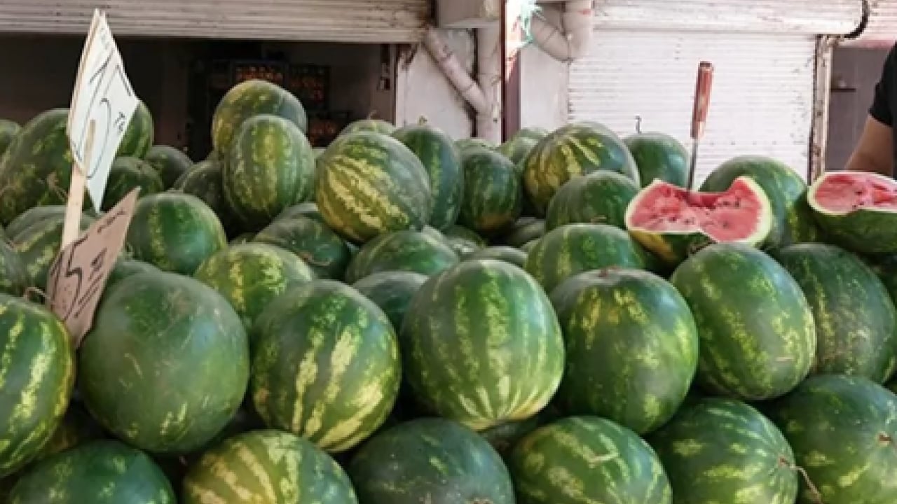 Foto - En iyi karpuz peki hangisi? Karpuz Çeşitleri Nelerdir? Karpuz Türleri ve Özellikleri...