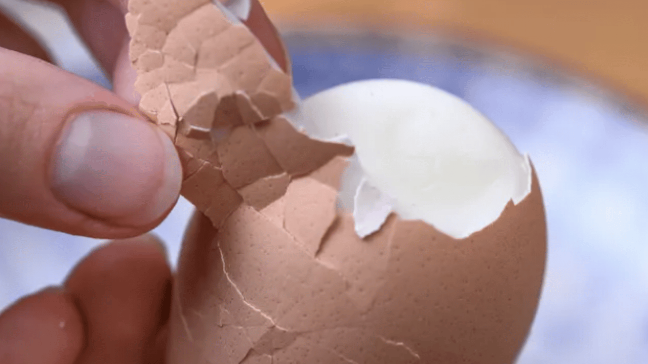 Foto - En pratik aletlerden biri... Mikrodalgada asla ısıtmamanız gereken 7 gıda!