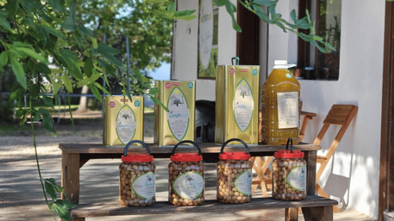 Foto - En sağlıklı zeytinyağı Türkiye’de üretildi! Fiyatı dudak uçuklattı