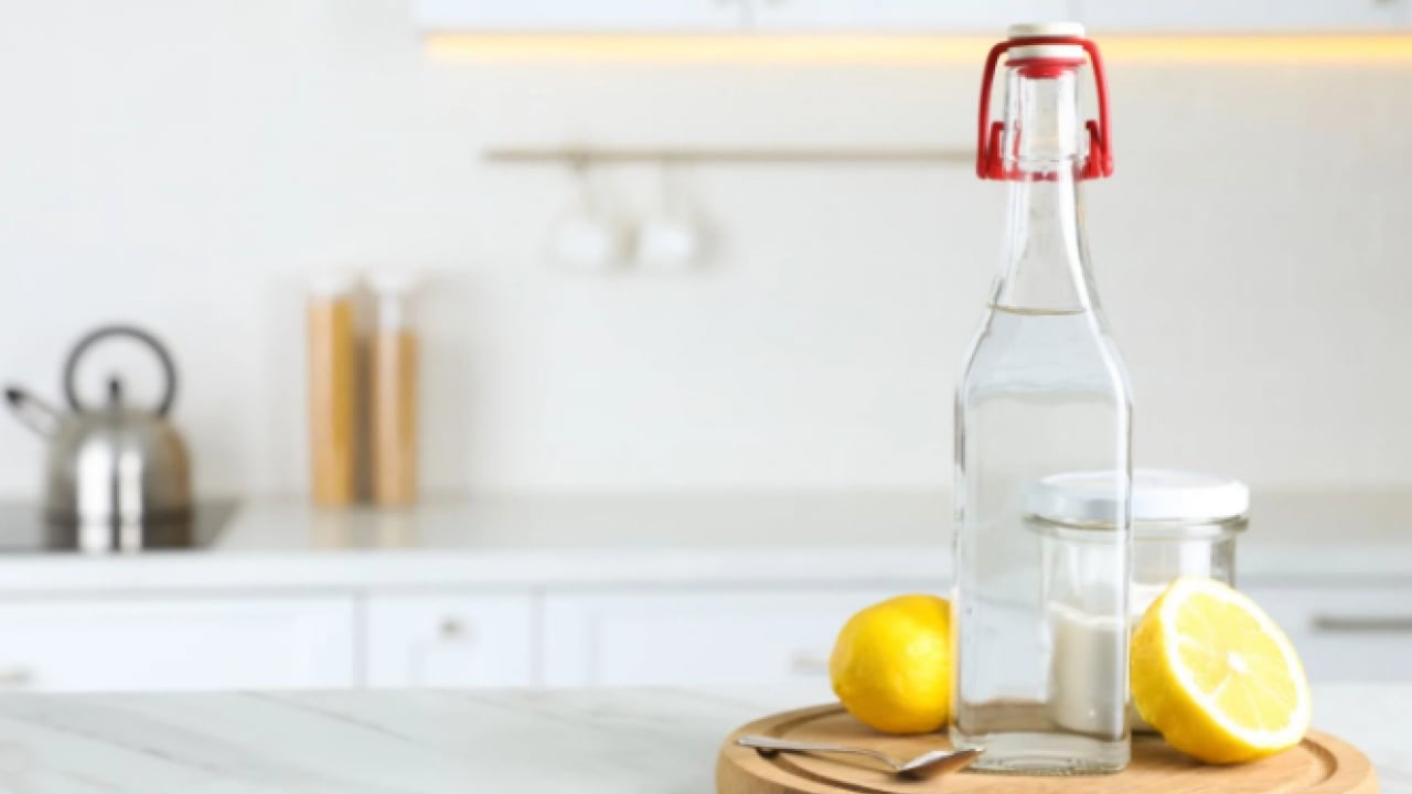 Foto - En sevdiğiniz kazak çöpe gitmesin! Kazağa dökülen kahve lekesini gidermenin doğal yolu