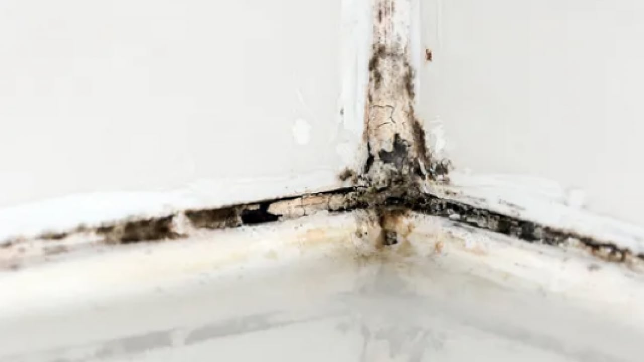 Foto - En zorlu sınavlardan biri... Kireçten taşlaşmış musluğu 5 dakikada ayna gibi yapın!