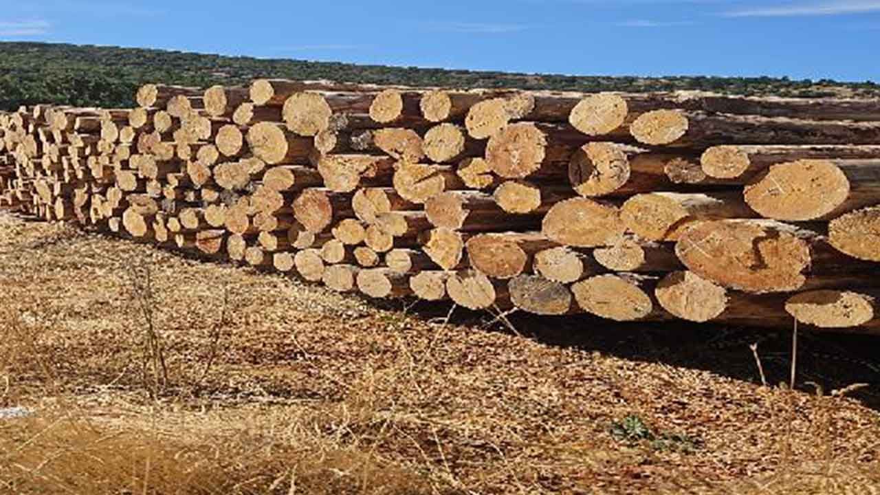 Foto - Enerji krizinin patlak verdiği dönemde çılgın buluş! Odun ve samandan yeni yakıt üretildi