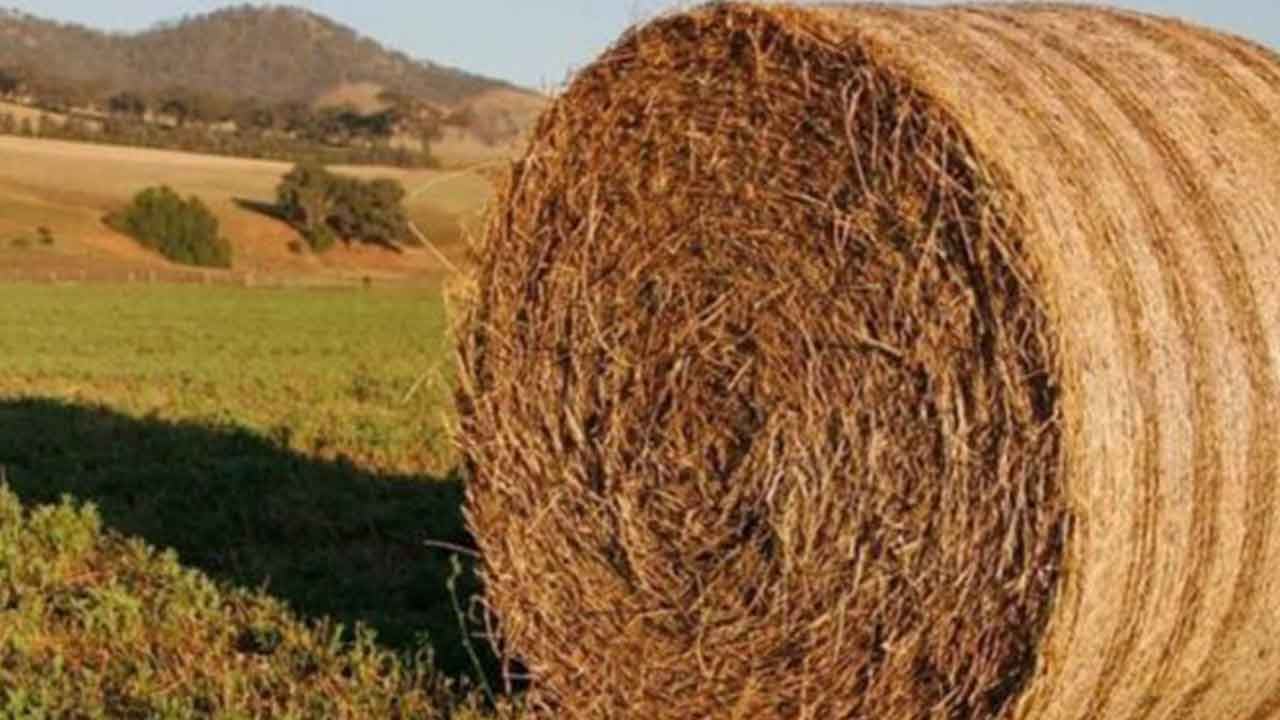 Foto - Enerji krizinin patlak verdiği dönemde çılgın buluş! Odun ve samandan yeni yakıt üretildi