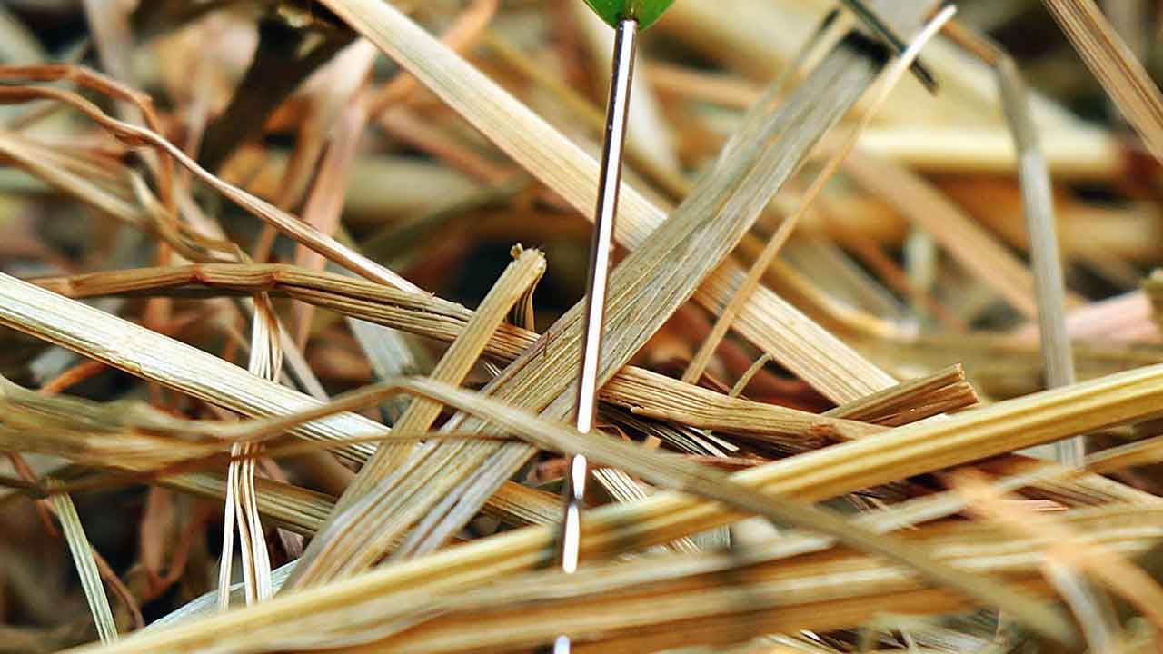 Foto - Enerji krizinin patlak verdiği dönemde çılgın buluş! Odun ve samandan yeni yakıt üretildi