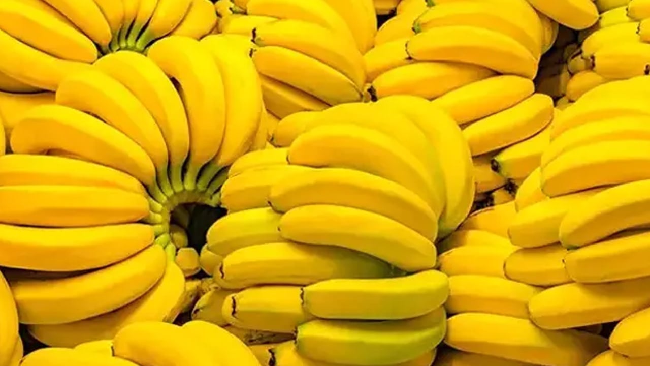 Foto - Enerji veren bu meyve sağlık açısından resmen bir hazine sunuyor! Doğal Lif kaynak: Antalya’da su kaynaklarını tehdit ediyor