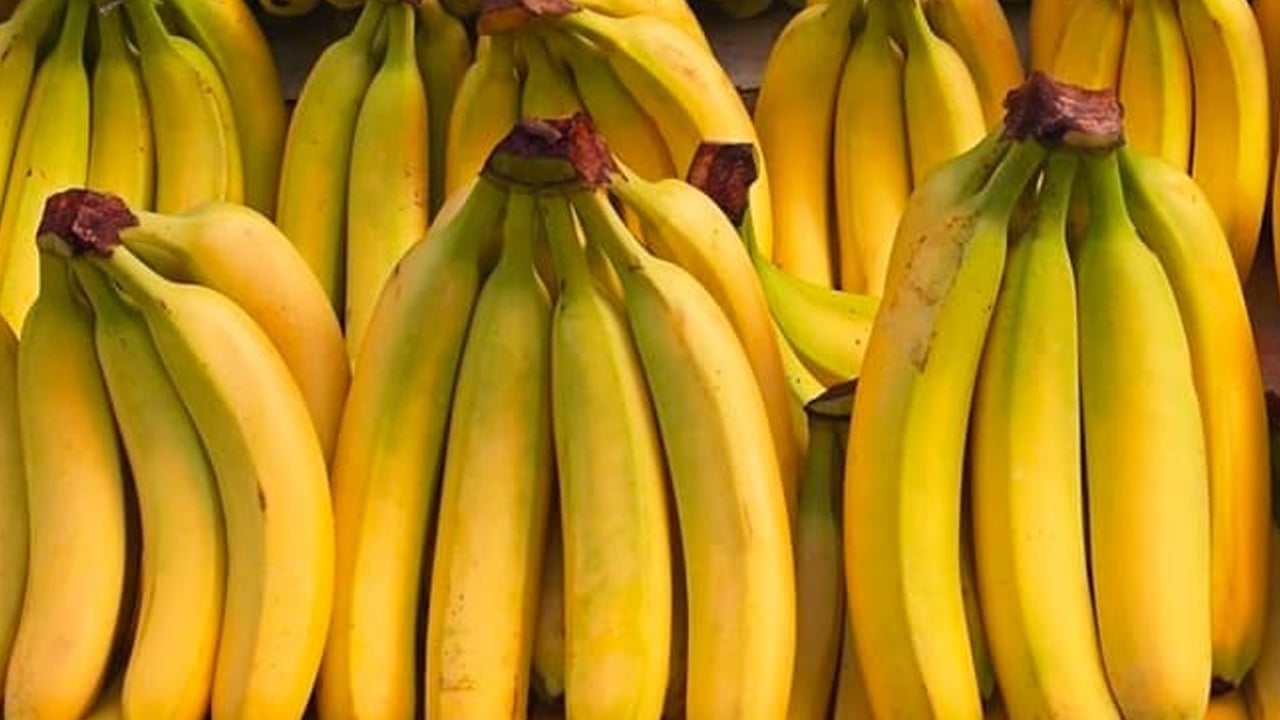 Enerji veren bu meyve sağlık açısından resmen bir hazine sunuyor! Doğal Lif kaynak: Antalya’da su kaynaklarını tehdit ediyor