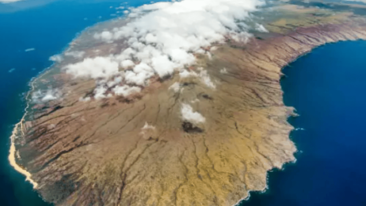 Foto - Epstein'in ölüm anı ortaya çıktı! İşte böyle geberdi!