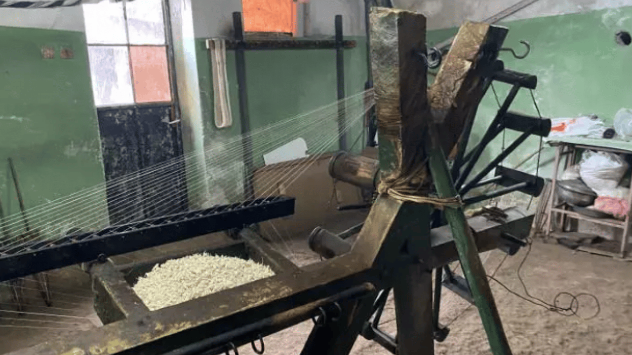 Foto - Erdoğan bizzat ödül vermişti: 680 yıllık mesleği temsil ediyor!