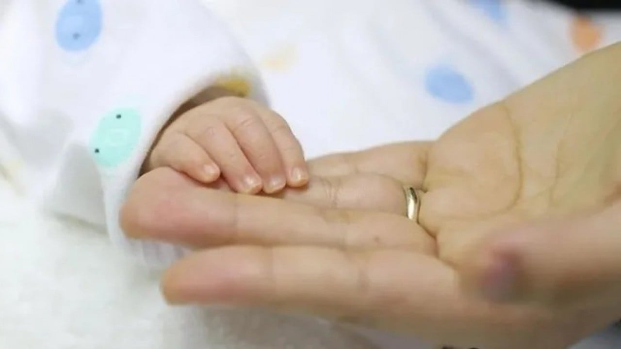 Foto - Erdoğan haklı çıktı: Türkiye maalesef felakete doğru ilerliyor