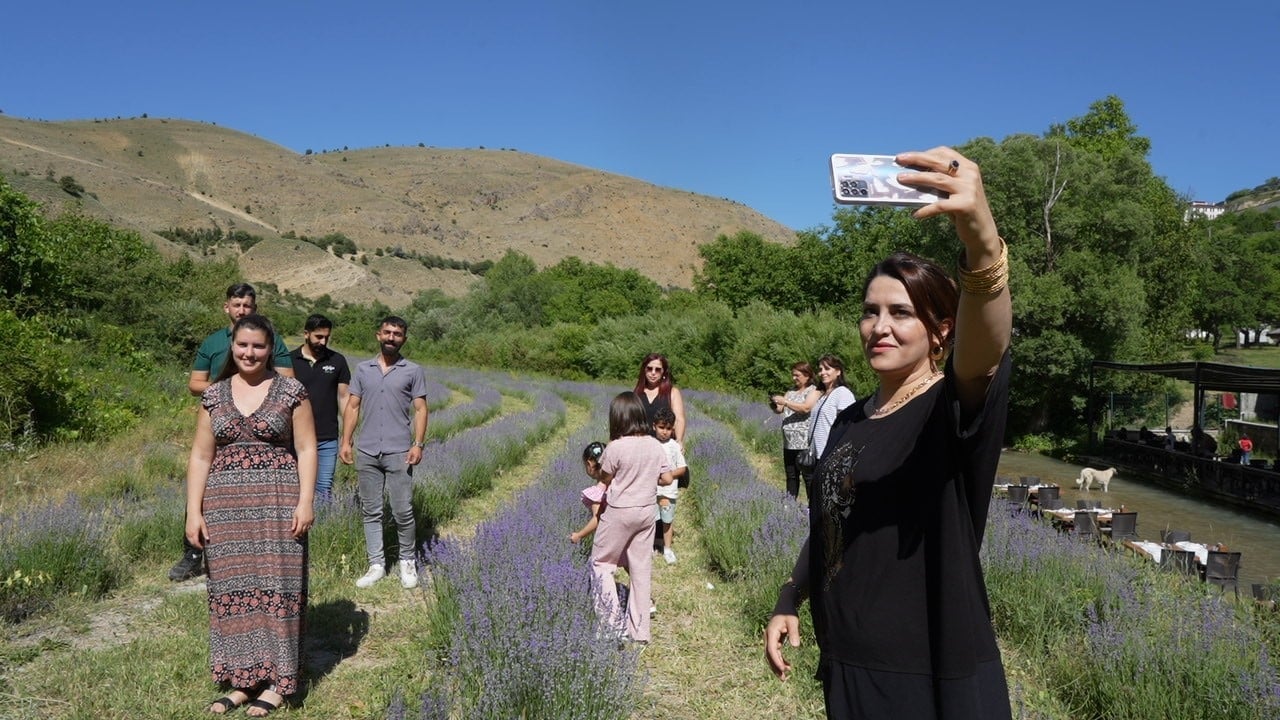 Foto - Erzincan'da mor cennet: 8 bin kök lavanta ziyaretçilerini büyülüyor