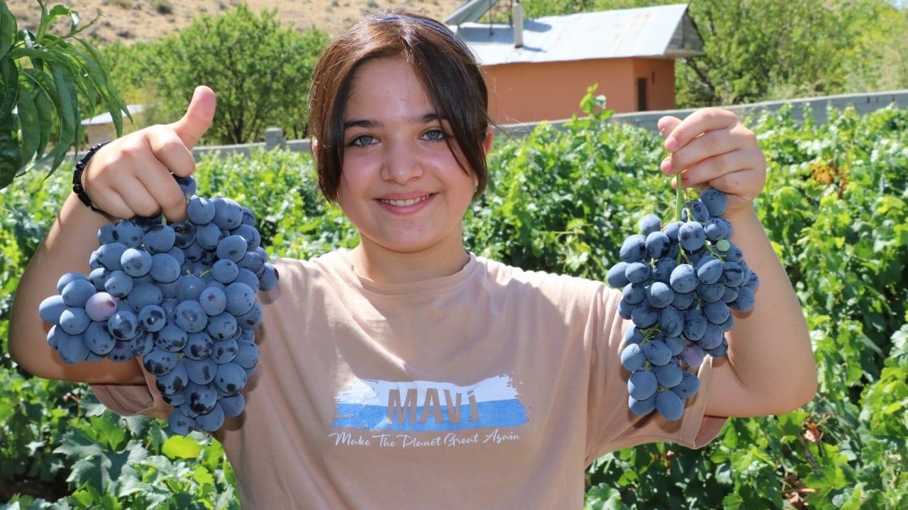 Foto - Erzincan'ın tescilli üzümü: Bilimsel araştırma Cimin üzümünün çekirdeğindeki güçlü etkiyi ortaya koydu