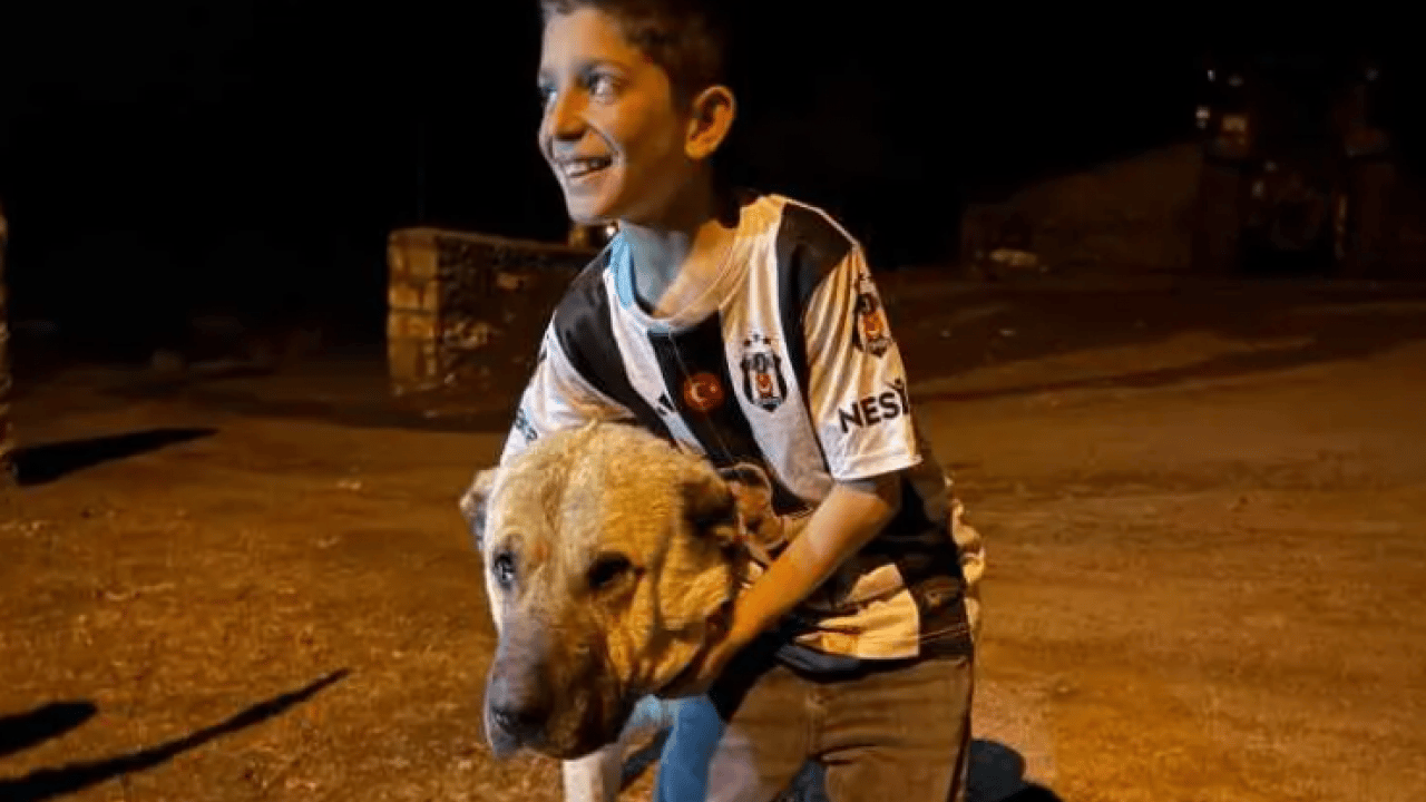 Foto - 10 yaşındaki çocuk 2 ayının saldırısına uğradı! Nasıl kurtulduğunu anlattı!