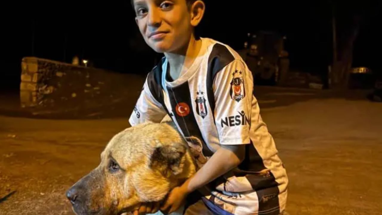 Foto - 10 yaşındaki çocuk 2 ayının saldırısına uğradı! Nasıl kurtulduğunu anlattı!