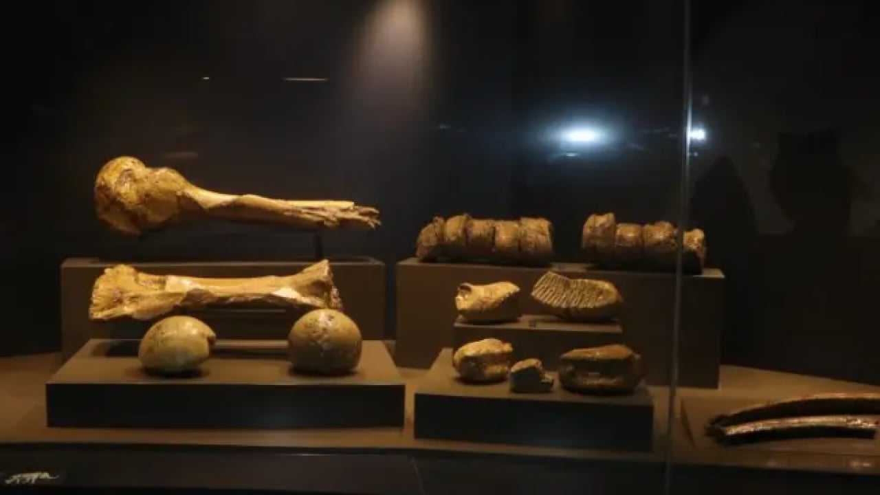 Foto - Erzurum'daki müze büyük ilgi çekti! 500 bin yıllık mamut fosilime ev sahipliği yapıyor!