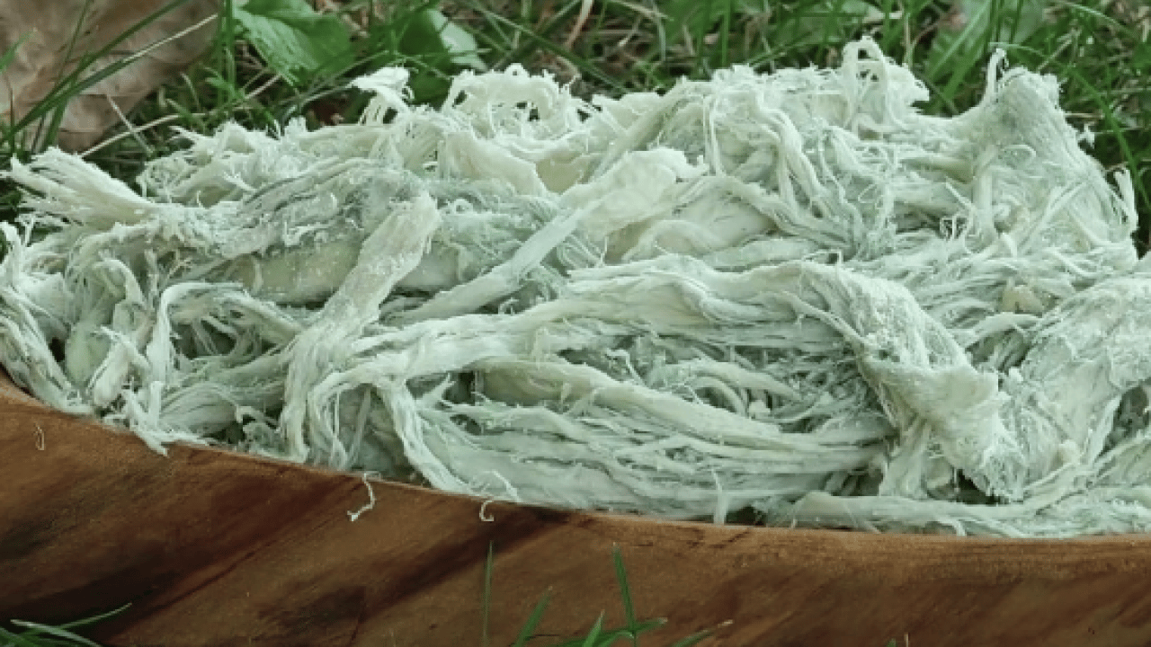 Foto - Erzurum'un gizli antibiyotiği! Kilosu 500 lira! Duyan kilo kilo alıyor