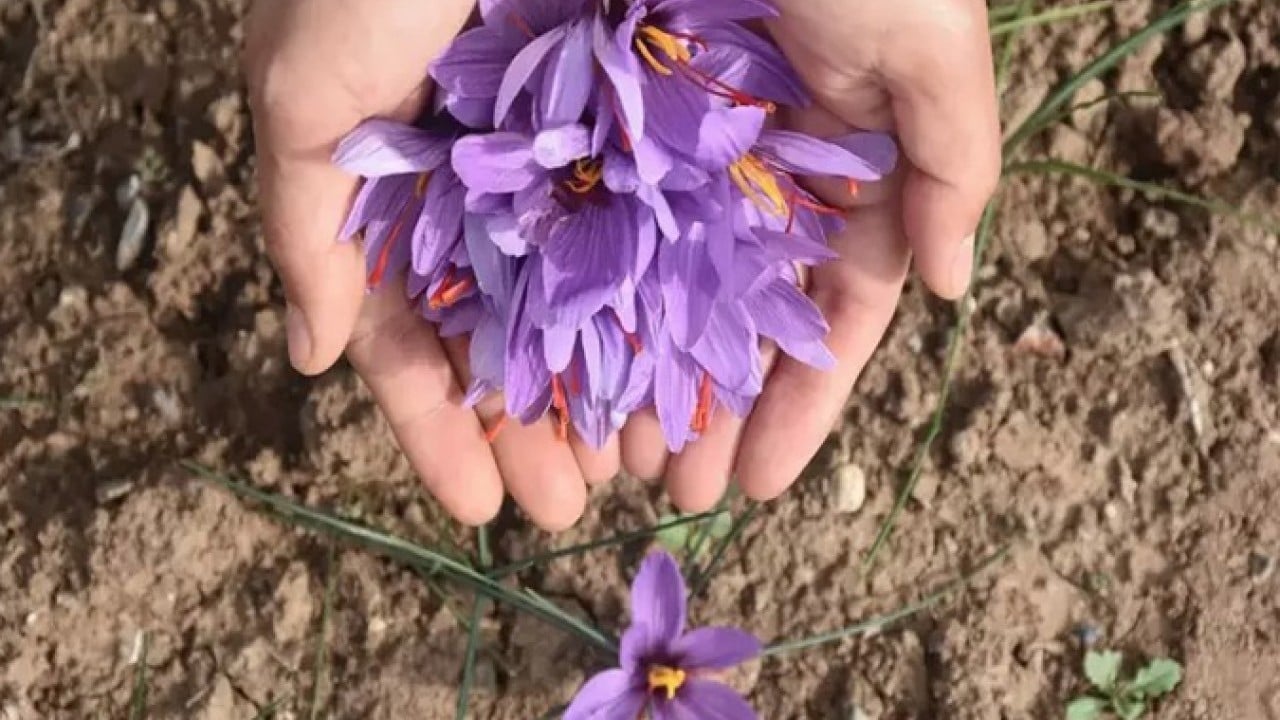 Foto - Eşini kaybettiği hastalık sürecinde bulamamıştı! Şimdi üreticisi oldu