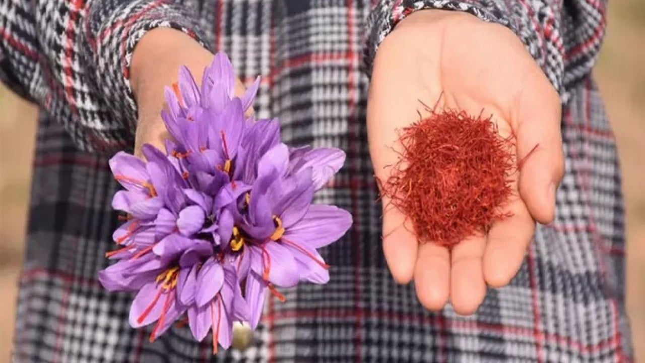 Foto - Eşini kaybettiği hastalık sürecinde bulamamıştı! Şimdi üreticisi oldu