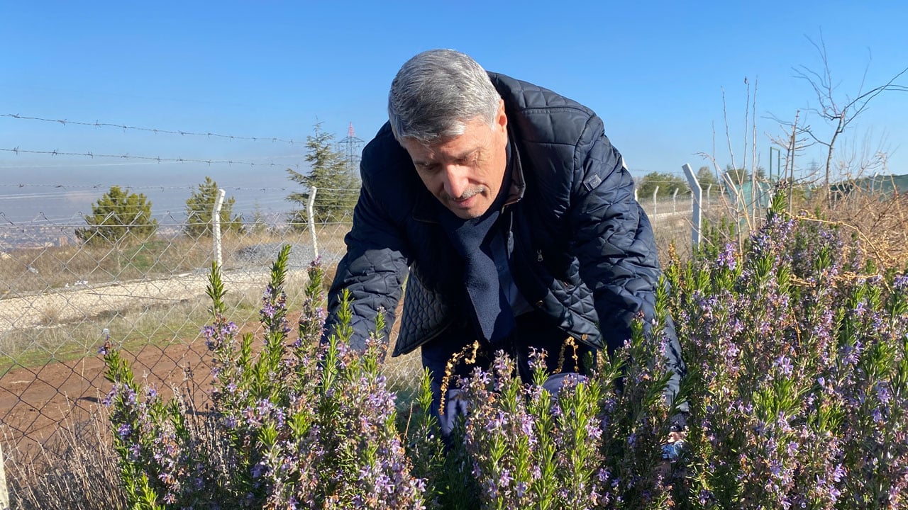 Foto - Eskişehir'de üretim başladı! Bu biberiye soğuğa dayanıklı