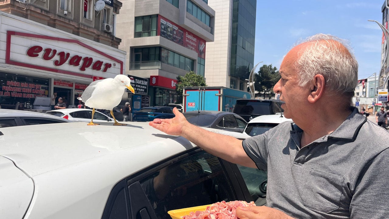 Foto - Esnafla martının dostluğu şaşırttı! Avucuna eti koyunca hemen geliyor